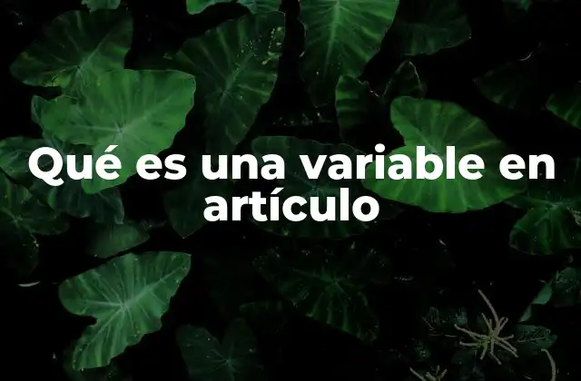 Qué es una Variable en Artículo 2 Elementos que pueden variar en un artículo