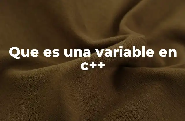 Que es una Variable en C++