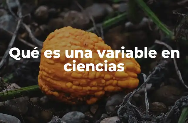 Qué es una Variable en Ciencias