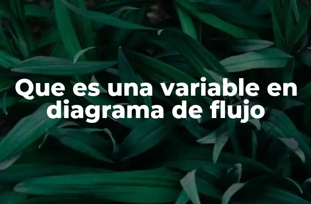 Que es una Variable en Diagrama de Flujo
