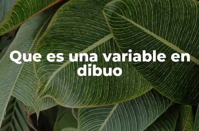 Que es una Variable en Dibuo