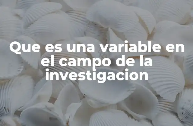 Que es una Variable en el Campo de la Investigacion