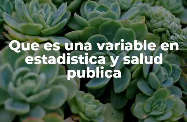 Que es una Variable en Estadistica y Salud Publica
