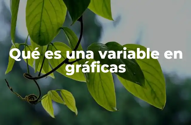 Qué es una Variable en Gráficas