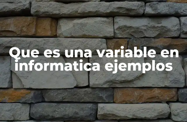Que es una Variable en Informatica Ejemplos