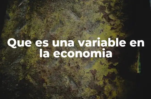 Que es una Variable en la Economia