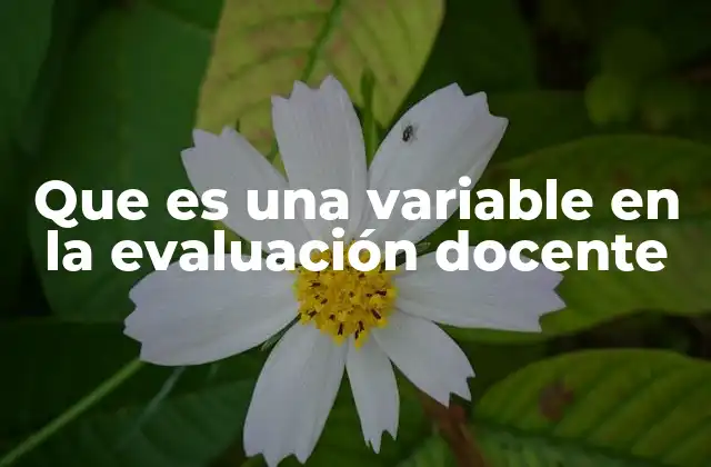 Que es una Variable en la Evaluación Docente