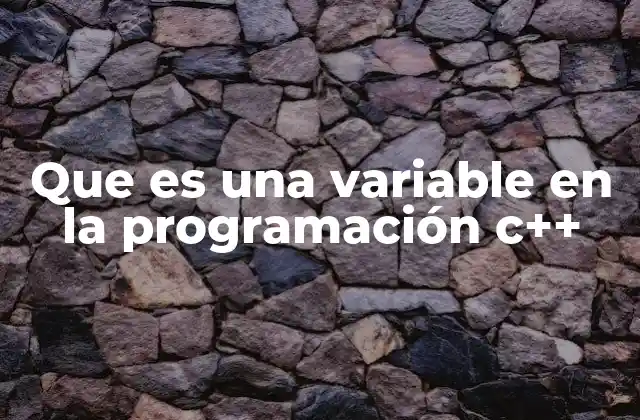Que es una Variable en la Programación C++