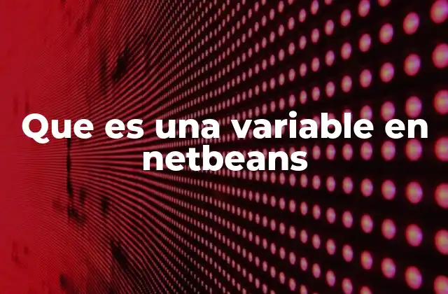 Que es una Variable en Netbeans