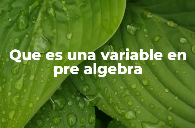 Que es una Variable en Pre Algebra