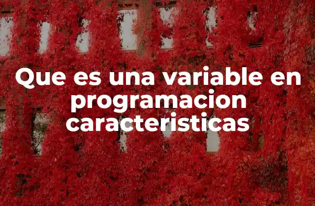 Que es una Variable en Programacion Caracteristicas