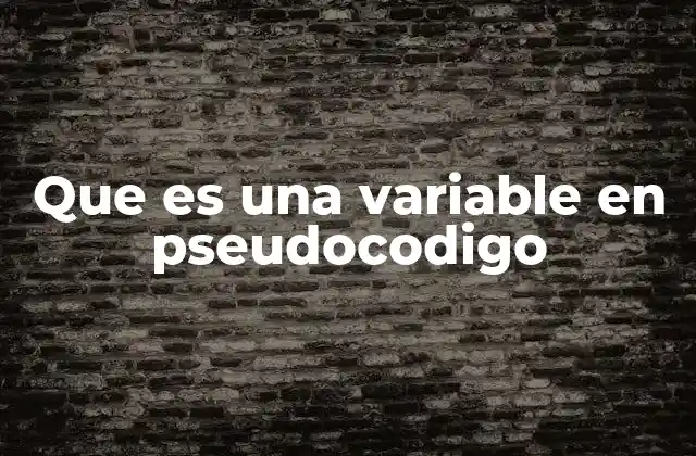 Que es una Variable en Pseudocodigo