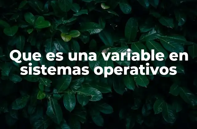 Que es una Variable en Sistemas Operativos
