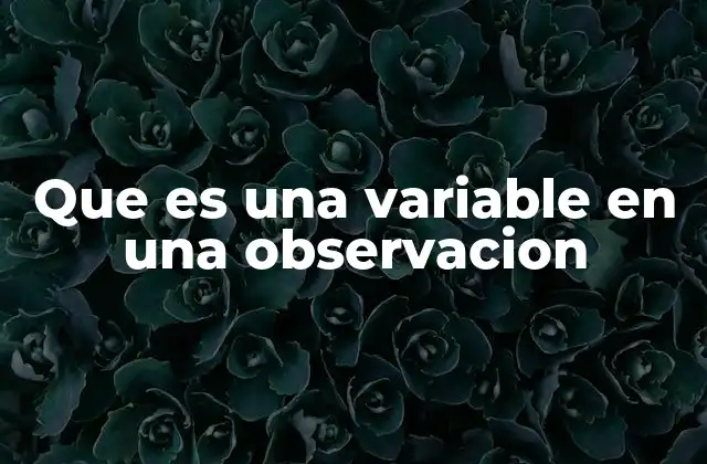 Que es una Variable en una Observacion