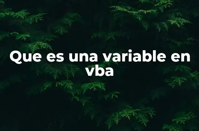 Que es una Variable en Vba