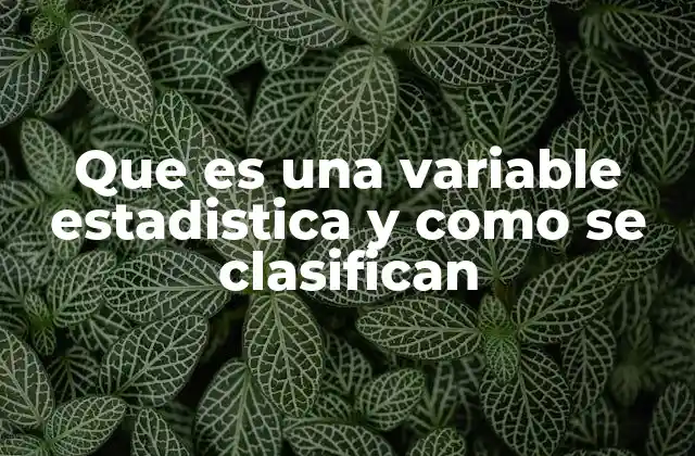 Que es una Variable Estadistica y como Se Clasifican 2 La importancia de las variables en la investigación