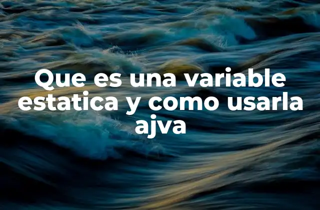 Que es una Variable Estatica y como Usarla Ajva