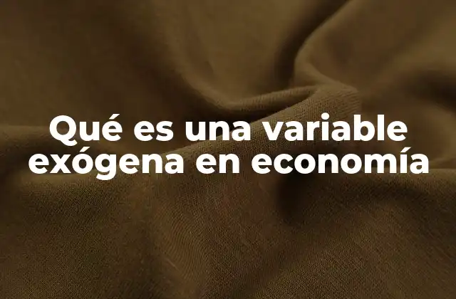 Qué es una Variable Exógena en Economía