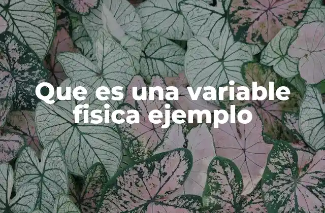 Que es una Variable Fisica Ejemplo
