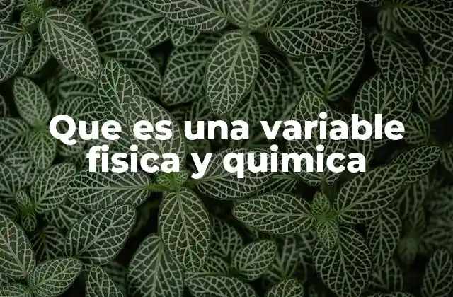 Que es una Variable Fisica y Quimica