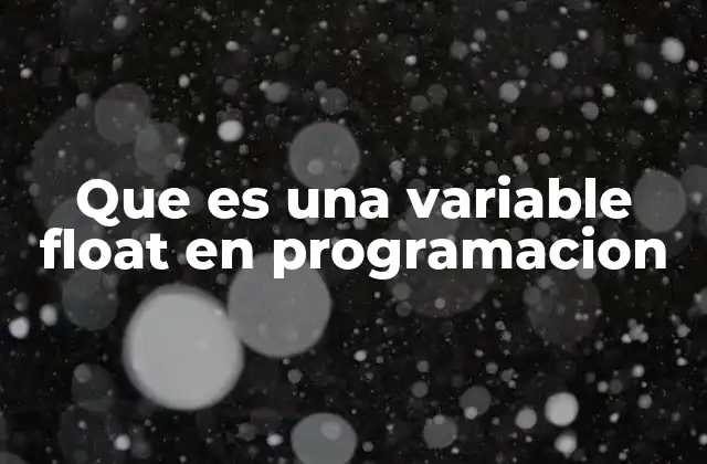 Que es una Variable Float en Programacion