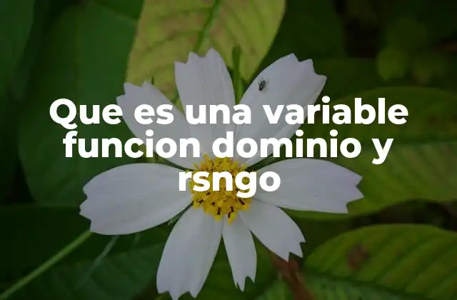 La importancia de entender estas nociones en matemáticas