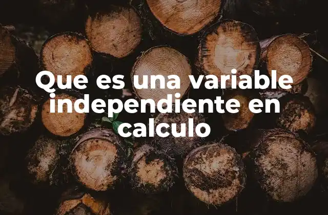 Que es una Variable Independiente en Calculo