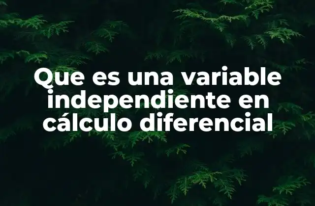 El papel de la variable independiente en funciones matemáticas