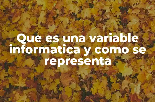 Que es una Variable Informatica y como Se Representa