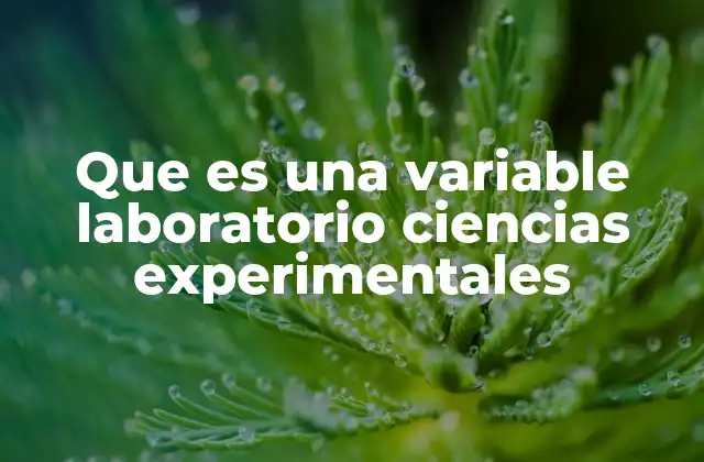 El rol de las variables en el diseño de experimentos científicos