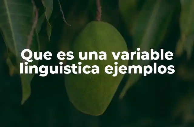 Que es una Variable Linguistica Ejemplos