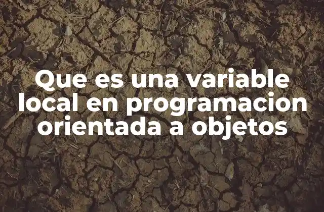 Que es una Variable Local en Programacion Orientada a Objetos