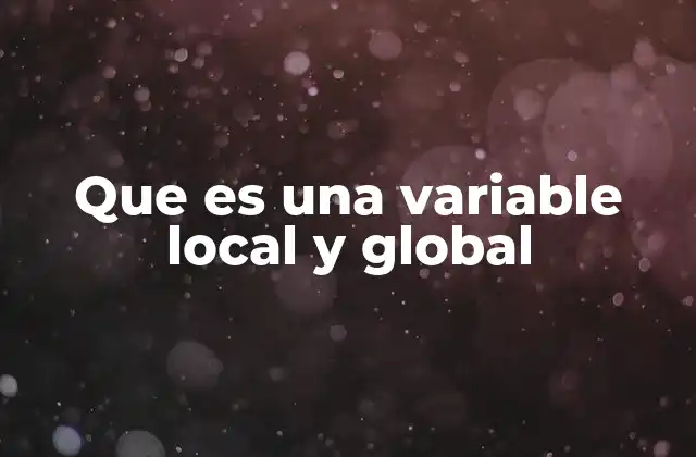 Que es una Variable Local y Global