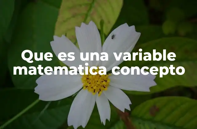 Que es una Variable Matematica Concepto 2 El rol de las variables en la matemática moderna