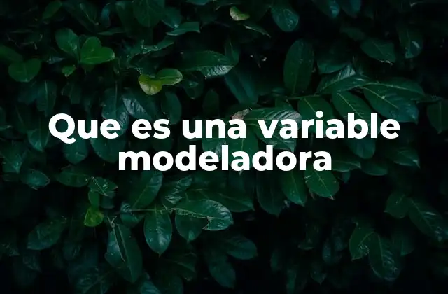 Que es una Variable Modeladora