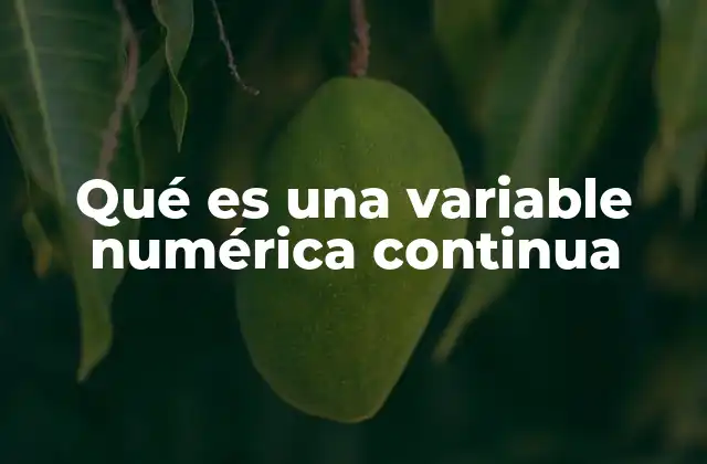 Qué es una Variable Numérica Continua