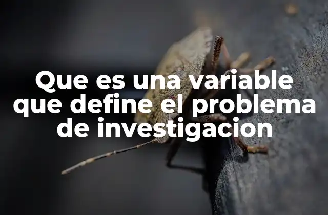 Que es una Variable que Define el Problema de Investigacion