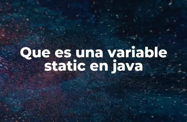 Que es una Variable Static en Java