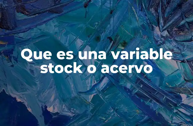 Que es una Variable Stock o Acervo