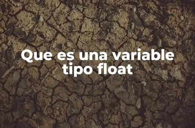 Que es una Variable Tipo Float