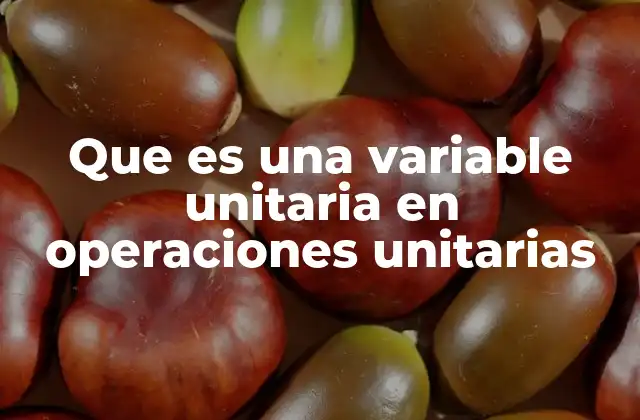 El papel de las variables unitarias en el diseño de procesos industriales
