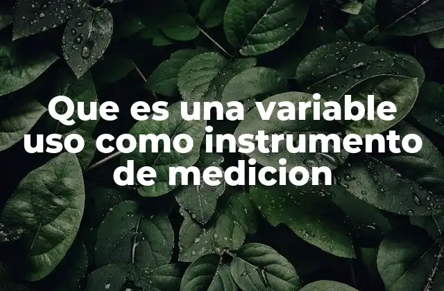 Que es una Variable Uso como Instrumento de Medicion