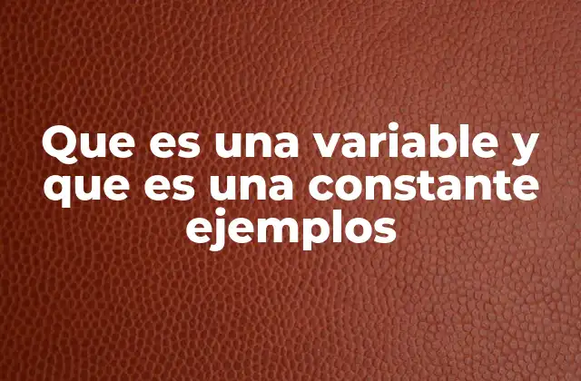 Que es una Variable y que es una Constante Ejemplos