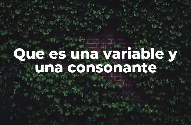 Que es una Variable y una Consonante