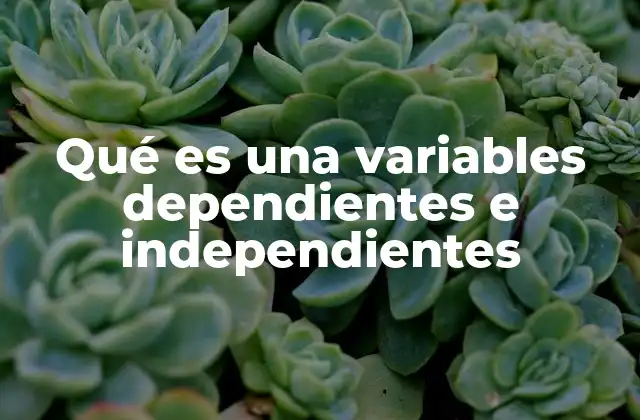 Qué es una Variables Dependientes e Independientes