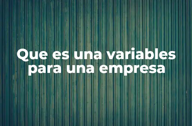 Que es una Variables para una Empresa