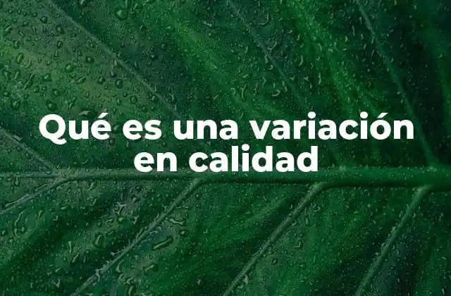 Qué es una Variación en Calidad