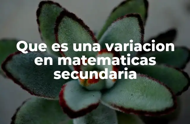 Que es una Variacion en Matematicas Secundaria