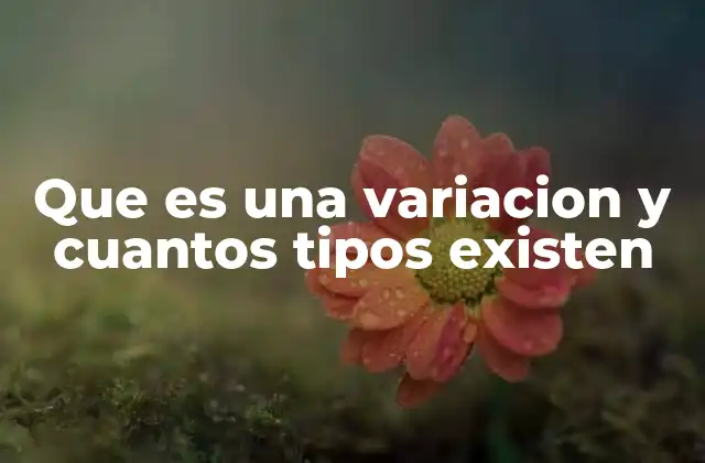 El concepto de variación en diferentes contextos