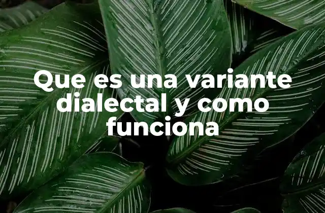 Que es una Variante Dialectal y como Funciona